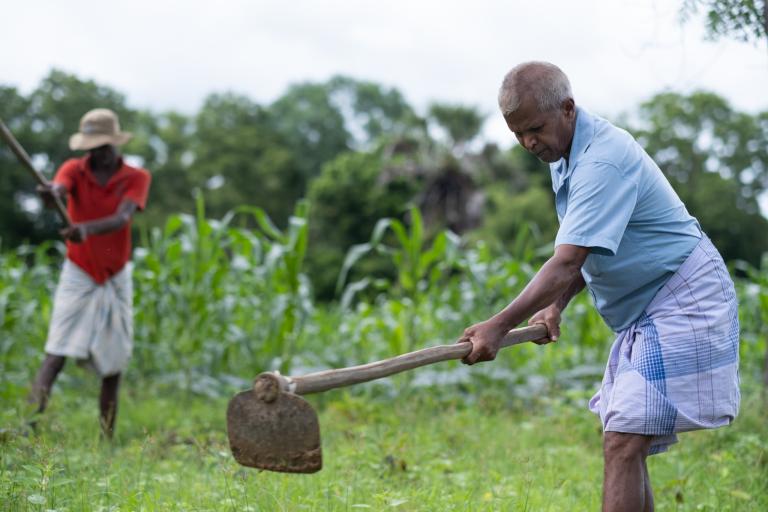 WFP Sri Lanka